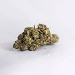 Black Cherry Gelato (IDH)