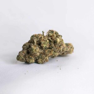 Black Cherry Gelato (IDH)