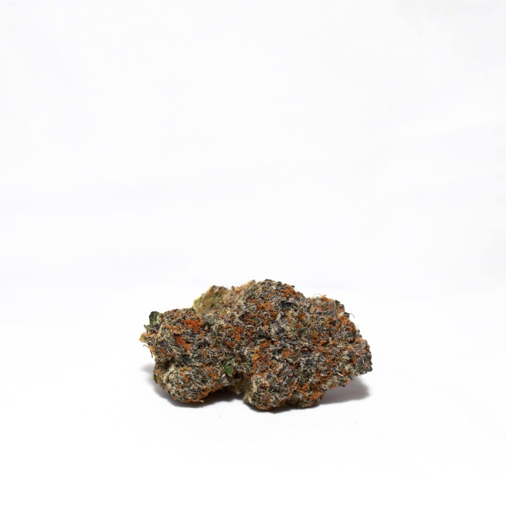 doppioespr-min-scaled-1.jpg